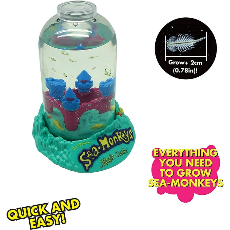 What Do Sea Monkeys Look Like Full Grown