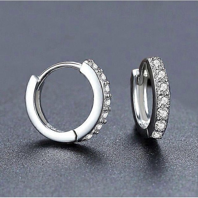 Earrings Hoops G23 Pure Titanium Small Huggie Earrings Hypoallergenic 18g Cartilage Hoops Piercing Jewelry for Women 2.0*8mm