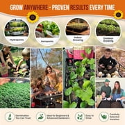 Organo Republic - 25 Summer Vegetable & Herbs Seeds Varieties - 6,820+ Non GMO Heirloom Garden Seeds