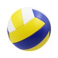 thumbnail image 4 of Zshan Official Size 5 Training Game Ball Grainy, 4 of 8