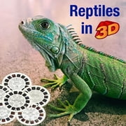 Vintage Reptiles Classic ViewMaster - 6 Reel Set