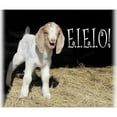 thumbnail image 2 of CafePress - Baby Goat E.I.E.I.O! Throw Blanket - Soft Fleece Throw Blanket, 50"x60" for All Ages, 2 of 2