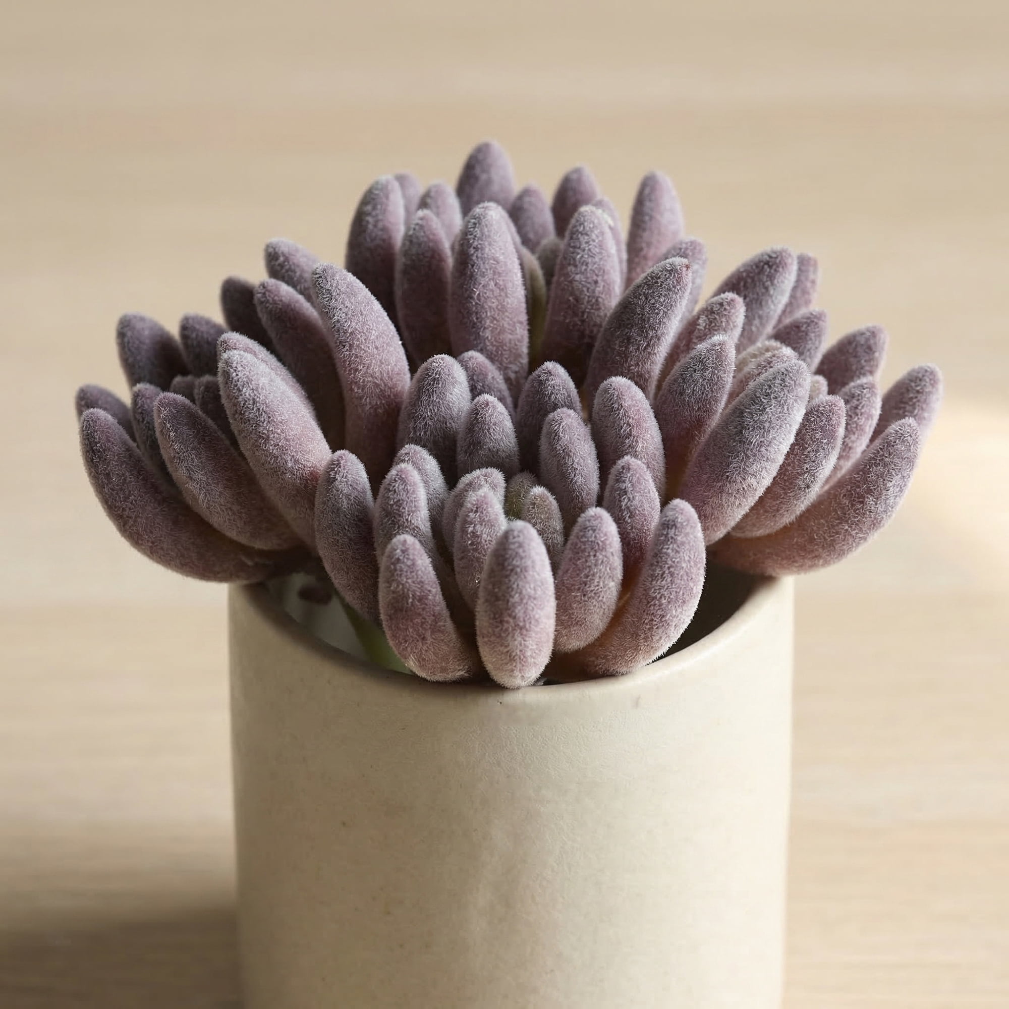 Unique Bargains 10Pcs Artificial Succulents 3.5" Buddha's Hand Purple Lotus Deep Pink