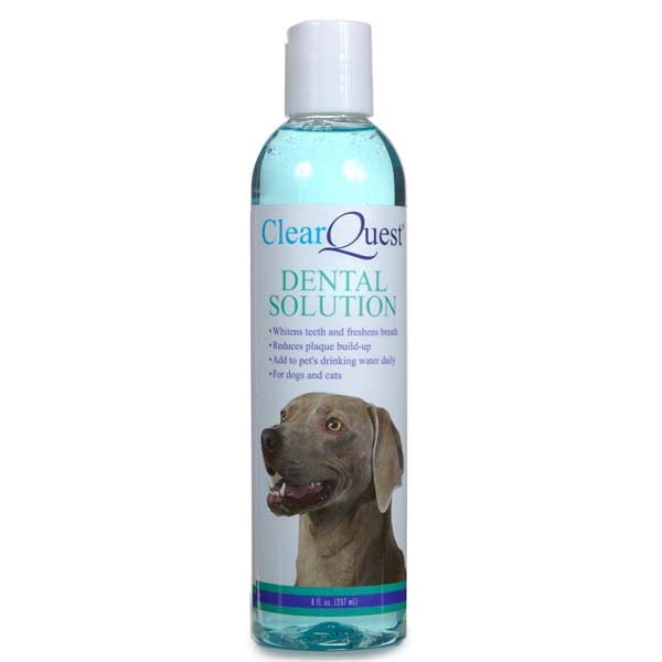 Clear Quest Dental Solution 8 Oz