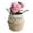 Multicolor#3, variant on MTBLYS Seagrass Wicker Basket Flower Pot Folding Storage Basket Decoration Hand Woven Natural Rattan 7.9 X 7.9 X 5.9 Inches Collapsible Pot Hanging Basket for Home Organization