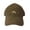 Brown, variant on Adult Rainbow Embroidered Deluxe Dad Hat