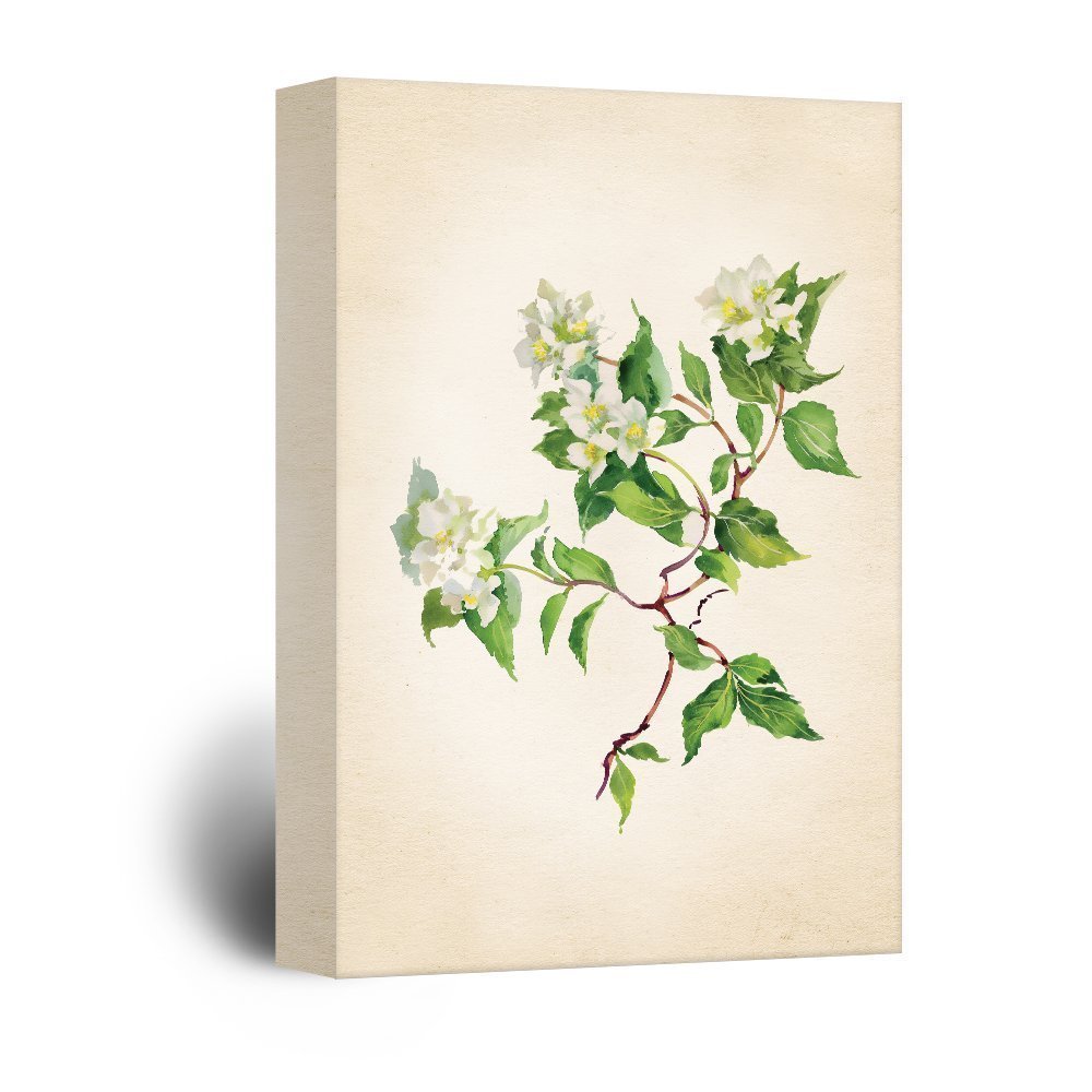 wall26 Canvas Wall Art - Watercolor Style White Flowers with Green ...