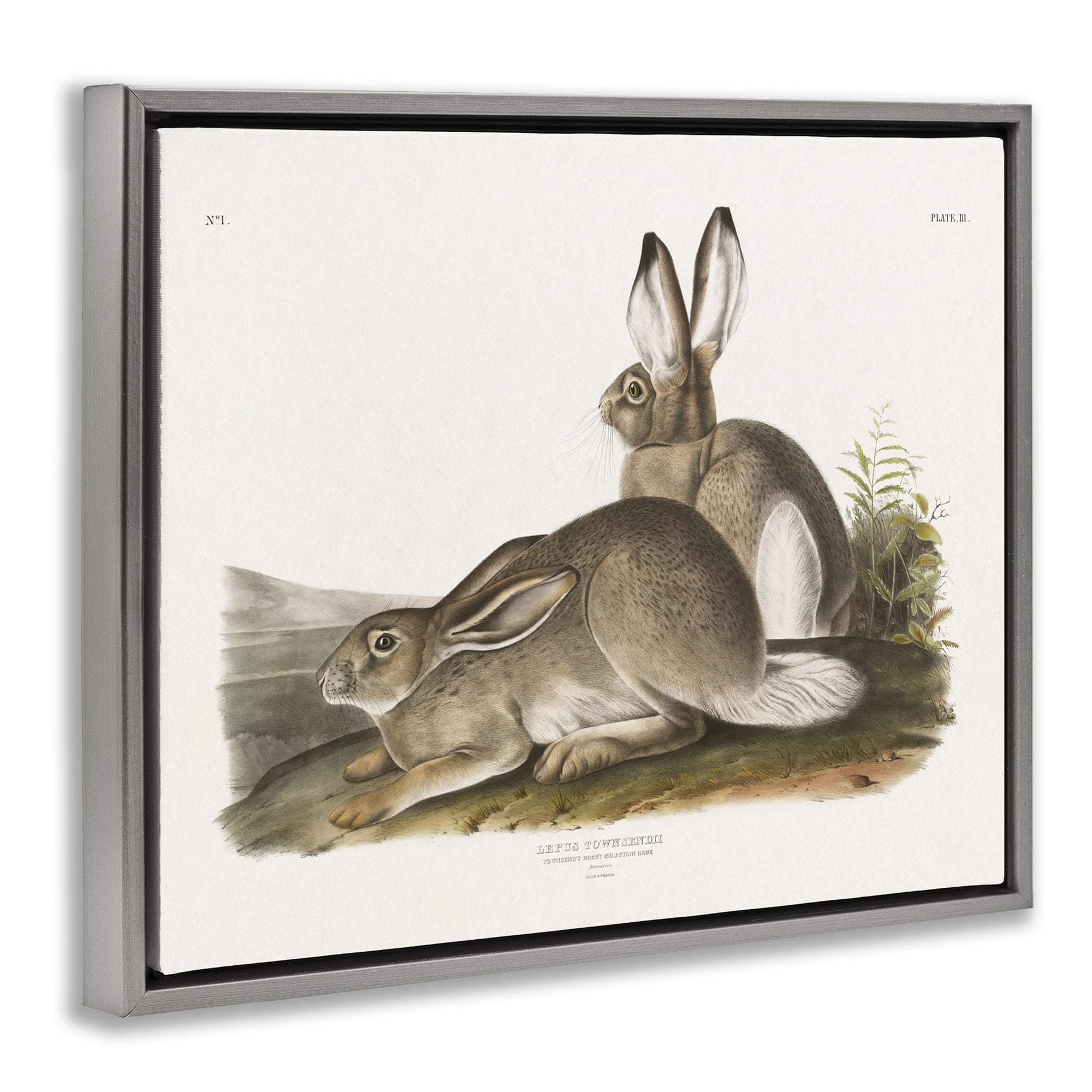 Stupell Industries Traditional Cottage Hare Animals & Insects Painting Gray Floater Framed Canvas Art Print Wall Art, 31 x 25
