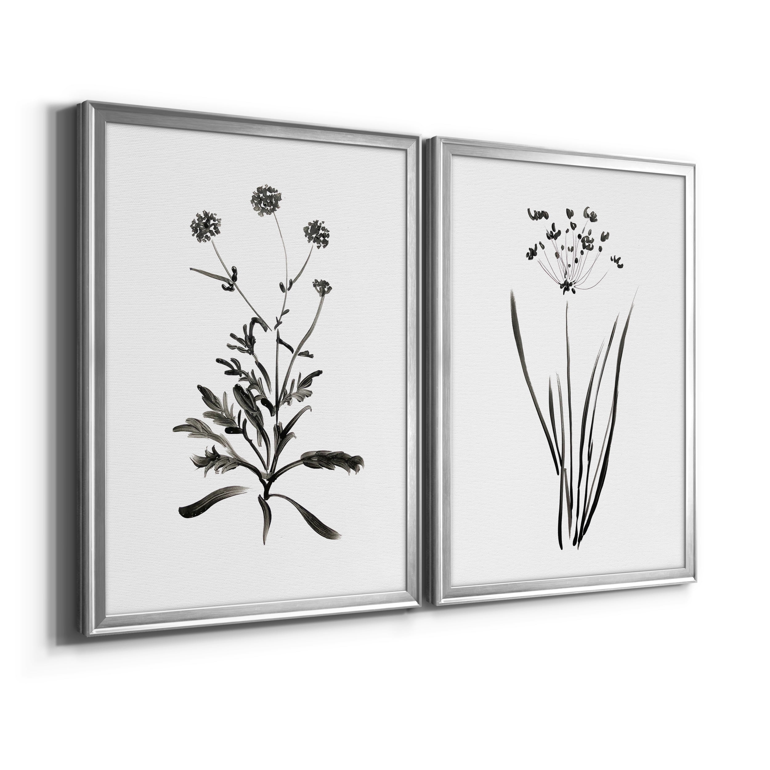 2 Piece Set Inky Botanical I Premium Framed Canvas - Ready to Hang - 18.5 x 24.5 Each - Silver Frame