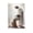 Unframe-style, variant on Jesus Christ Wall Art Jesus And Woman Poster Jesus Heals Bleeding Woman Canvas Print Poster Decorative Painting Canvas Wall Art Living Room Posters Bedroom Painting 12x18inch(30x45cm)