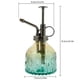 thumbnail image 5 of 1Pcs Plants Watering Can Retro Glass Plant Mister Vintage Spray Bottle Flower Sprayer Spritzer 200ML Gardening Home Sprinklers, 5 of 5