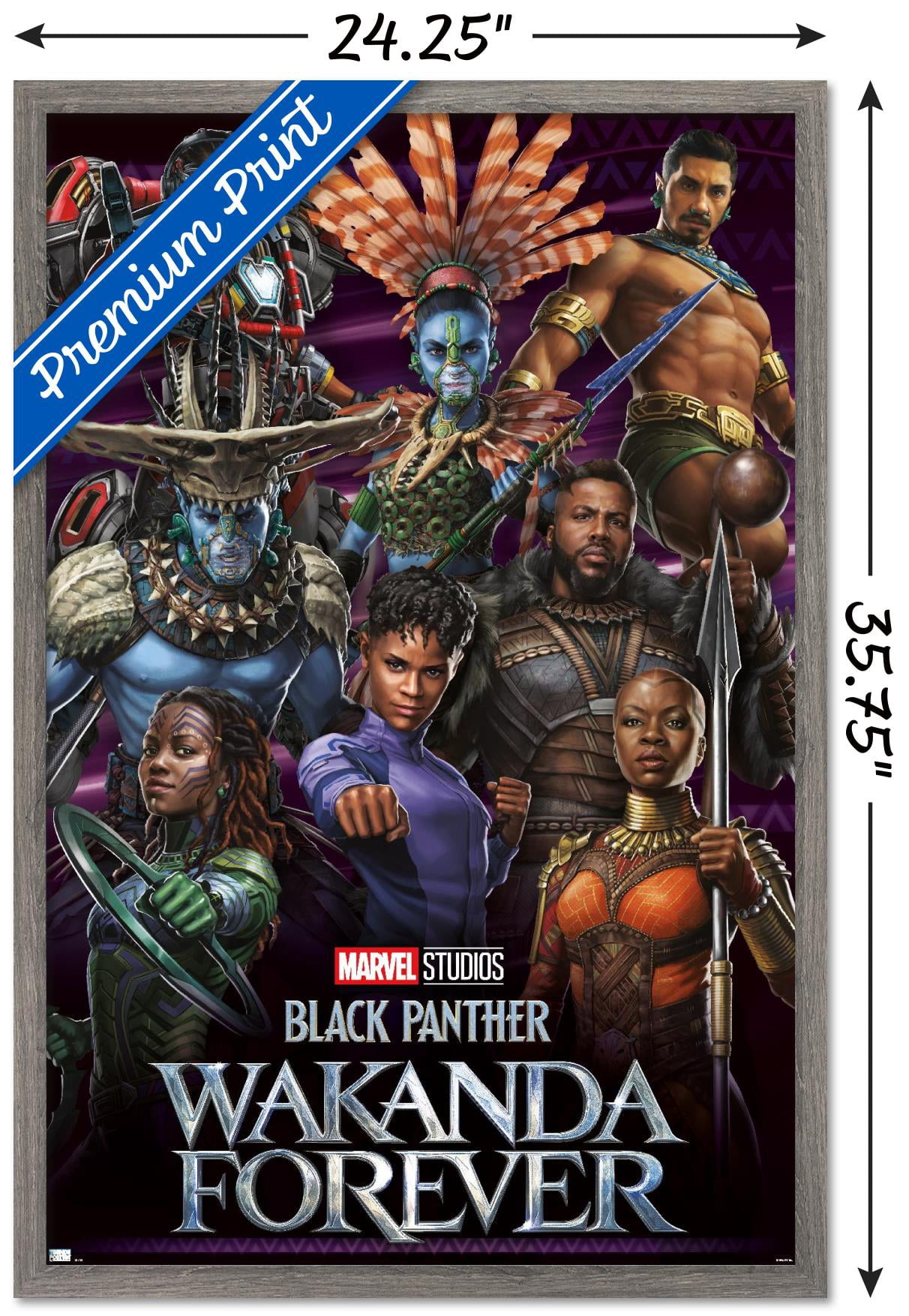 Marvel Black Panther: Wakanda Forever - Group Wall Poster, 22.375" x 34" Framed