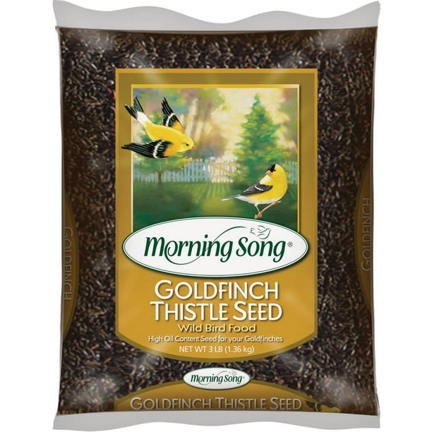 1PK Morning Song 3 Lb. Nyjer Seed Wild Goldfinch Food - Walmart.com