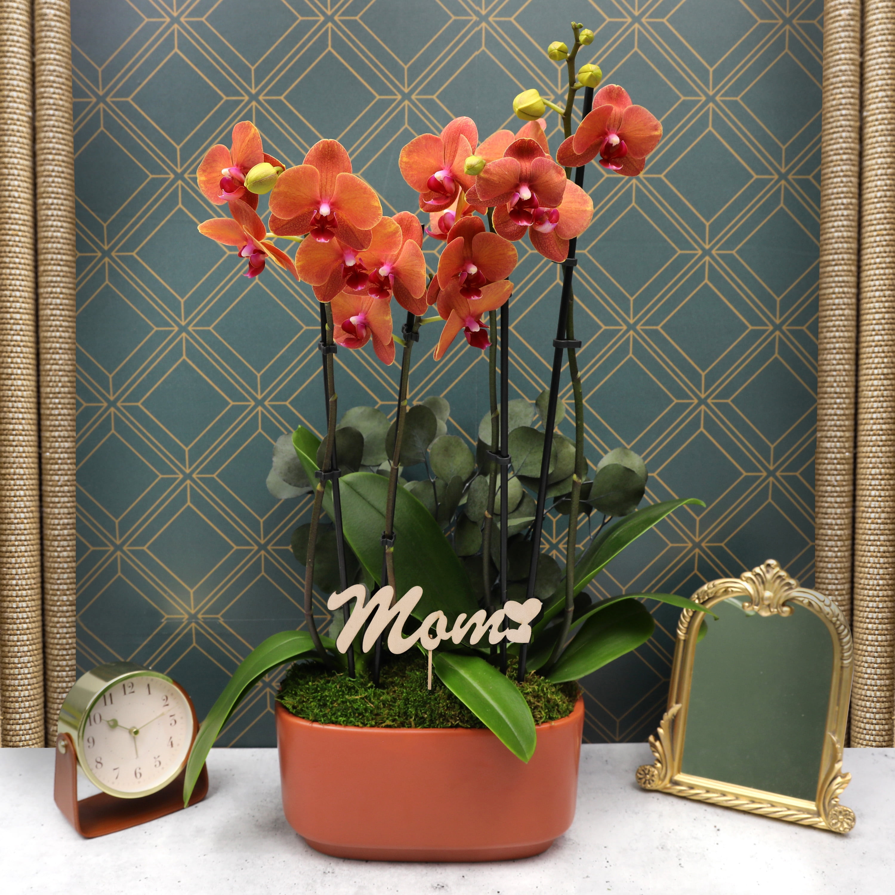 Live 10in Salmon Orchid Duo in Orange Pot with 'Mom' Pick and Eucalyptus - Perfect Gift