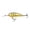 Orange Belly Gill., variant on Northland Fishing Tackle Rumble Shad Medium Diving Balsa Crankbait - Freshwater Lures for Bass, Crappie, Walleye, Trout and Many More (Faded School Bus, 2.75", 1/2 Oz)