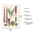 thumbnail image 2 of Red Latan Palm Tree (Latania Lontaroides) - Leaves and Stems - Vintage Botanical Illustration by Carl Friedrich Philipp von Martius c.1820s - Master Art Print 10in x 14in, 2 of 4