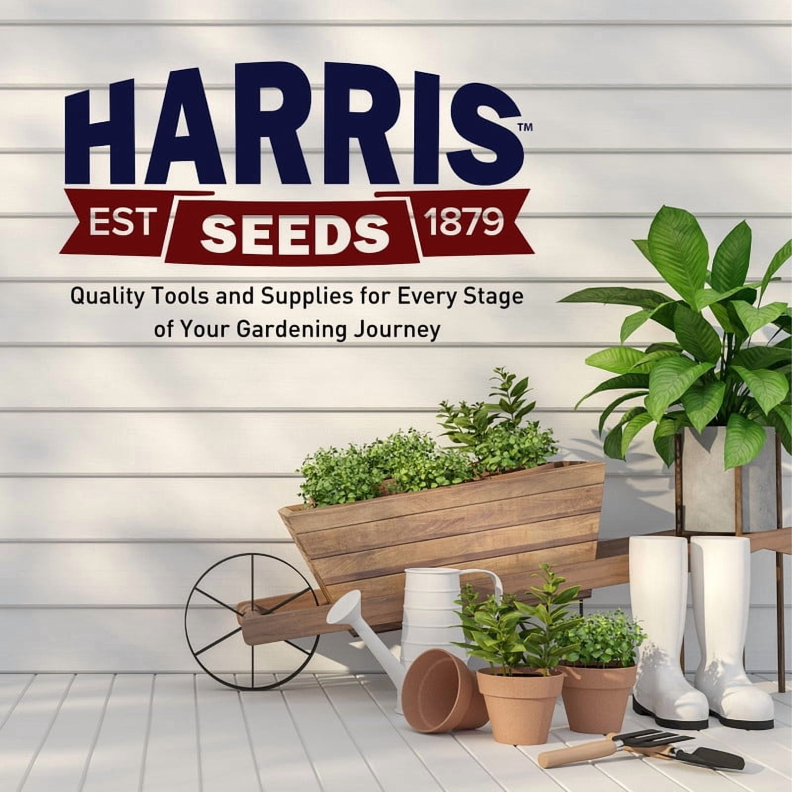 Harris Seeds Grow Gardens Grow Salsa Kit with Heirloom Seeds, Egg Carton Planter and Recipes