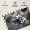 thumbnail image 6 of Elephant Stock Butterfly Pop Wall Art - Horizontal Canvas Wall Art - Living Room Wall Decor - Animal Canvas - Gray And Blue Decor - 12" x 8", 6 of 8