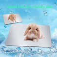 thumbnail image 4 of Rabbits Cooling Pad, 12x8 in Self Cooling Mat for Hamster Guinea Pig Bunny Kitten Cat and Other Sma, 4 of 5