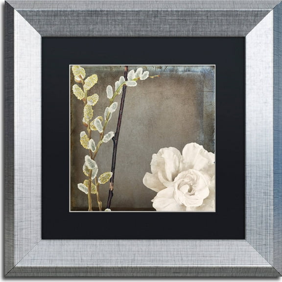 Trademark Fine Art "India I" Canvas Art by Color Bakery, Black Matte, Silver Frame