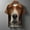 B#Coffee, variant on Men's 3D Graphic Funny Dog Face Athletic Short Sleeve Tee,Full Print Casual Summer Tops,Coffee,XXL