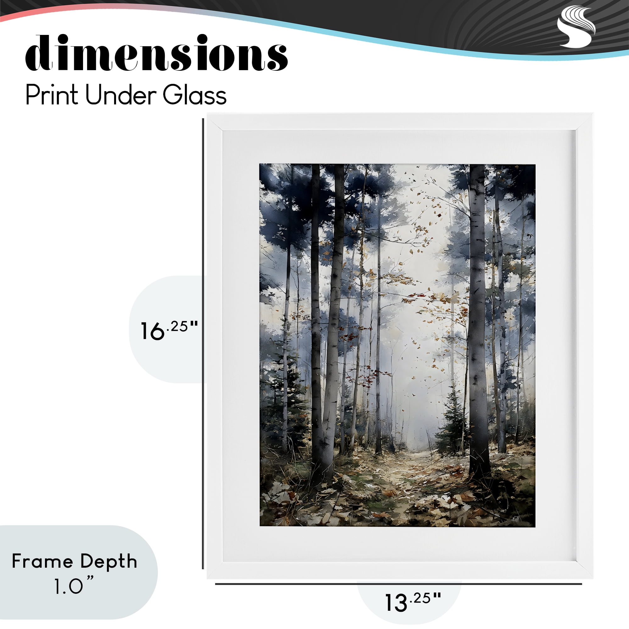 Stupell Industries Cold Woods Birch Forest White Framed Print Under Glass, design by Franklyn Gregory