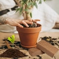 thumbnail image 7 of ZeeDix Organic Compressed Coco Coir Brick Soil, 20 Piece, 7 of 7