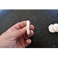 thumbnail image 2 of 25 White Baby Sea Biscuits (Sea Cookies/Sand Dollars) 1-1 1/2" Beach Wedding Nautical Crafts, 2 of 4