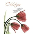 thumbnail image 3 of Koetsier, Albert 12x14 Black Modern Framed Museum Art Print Titled - Christmas Tulips 1, 3 of 5