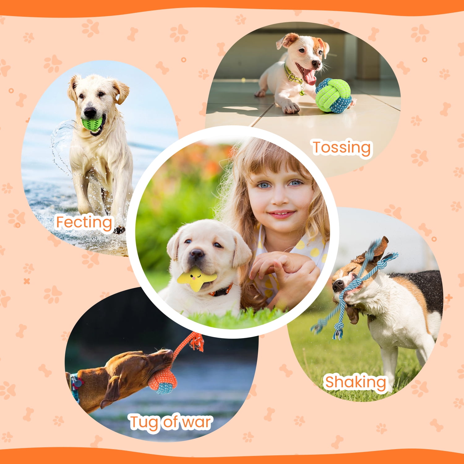 MASBRILL Dog Toys for Small Dogs ,10 Pack Puppy Chew Toys for Teething and Training with Plush Squeaky Toys, Treat Ball and Rope Toys to Keep Them Busy
