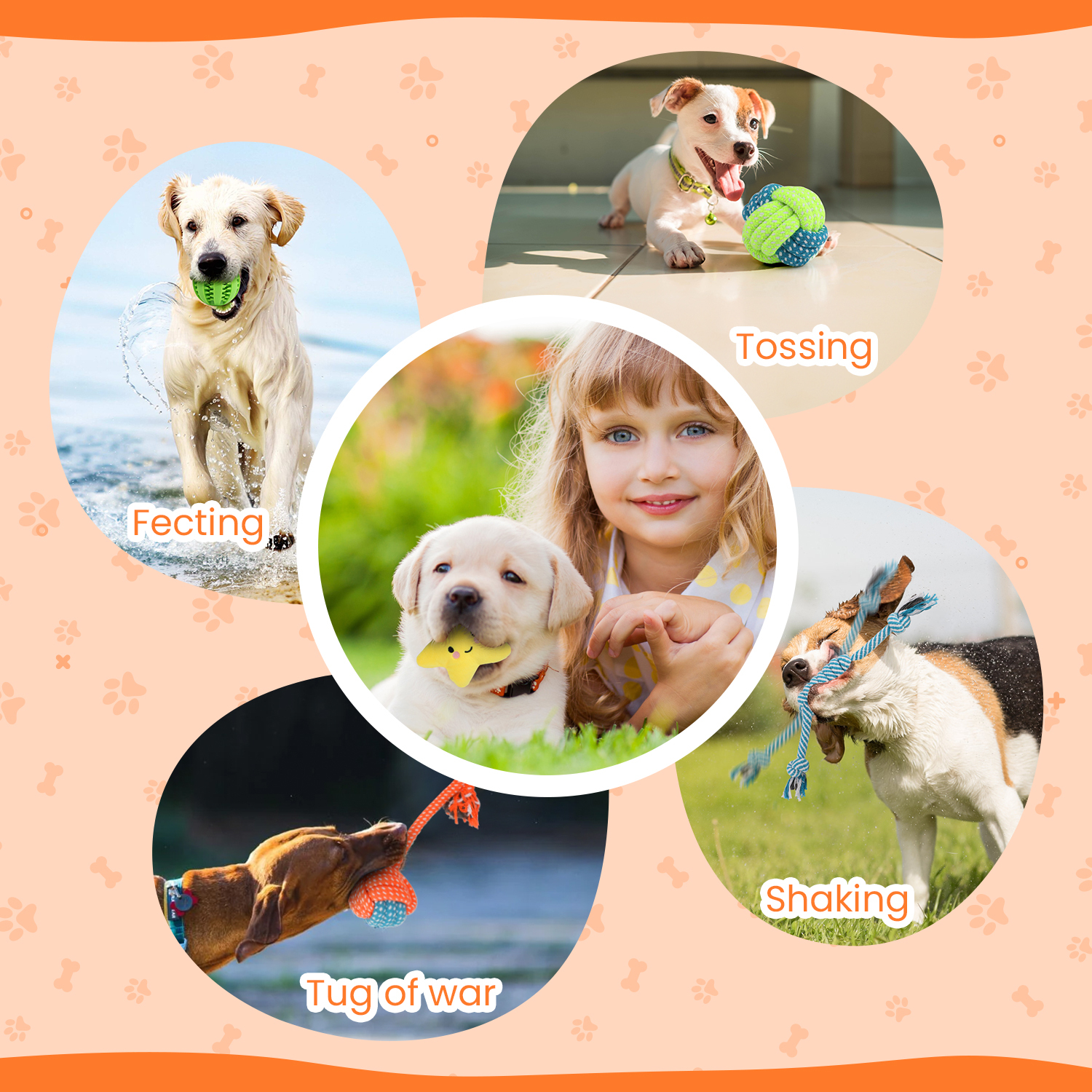 MASBRILL Puppy Chew Toys, 10-Piece Set photo 7
