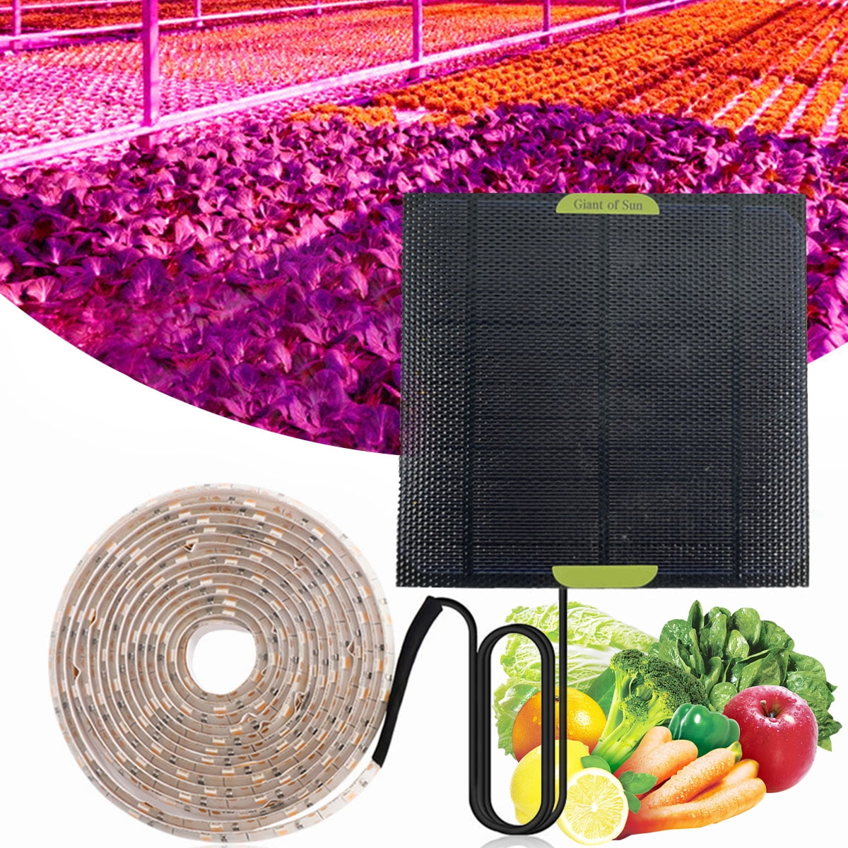 Morima Solar LED Plant Grow Light Strip 16.4ft Full Spectrum Plant Grow Lamp 5W Solar Powered Seeding Growing Light for Succulents Greenhouse Plants Hydroponic Culture Garden Seedlings