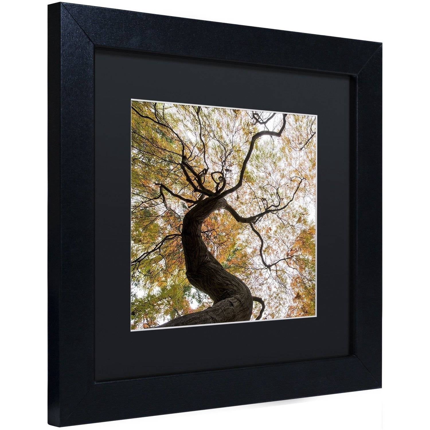 Trademark Fine Art "Under a Japanese Maple 2" Canvas Art by Kurt Shaffer, Black Matte, Black Frame
