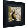 thumbnail image 2 of Trademark Fine Art "Under a Japanese Maple 2" Canvas Art by Kurt Shaffer, Black Matte, Black Frame, 2 of 4