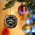 thumbnail image 6 of CoreLiving Raccoon Ornament, Christmas Ornaments 2025, Forest Animal Ornaments Set, Acrylic Hanging Decor Gift for Animal Lovers, Tree Decorations, 6 of 9
