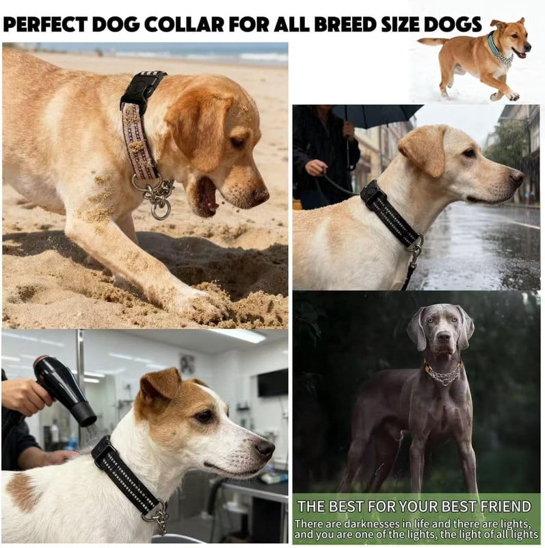 Martingale Dog Collars, Reflective Nylon Collar with Stainless Steel Chain, Adjustable Walking Training Dog Collars with Quick Release Buckle, Suitable for Small Medium Large Dogs