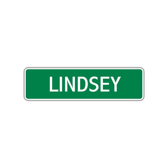 Lindsey Girls Children Name Letter Printed Plaque Decoration Novelty Label Indoor Outdoor Unique Wall Unique Aluminum Metal Sign 4"x13.5"