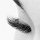 thumbnail image 4 of Self False Eyelashes Reusable Natural 3D Eyelash Curling To The Eyelashes Non Eyelash Extension Excellent Material 1/2/3/4/5/6Pair, 4 of 7