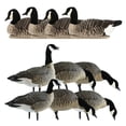 thumbnail image 2 of Avian X Lessers 4 Topflight Floating Hunting Decor w/ Lessers 6 Fusion Pack, 2 of 2