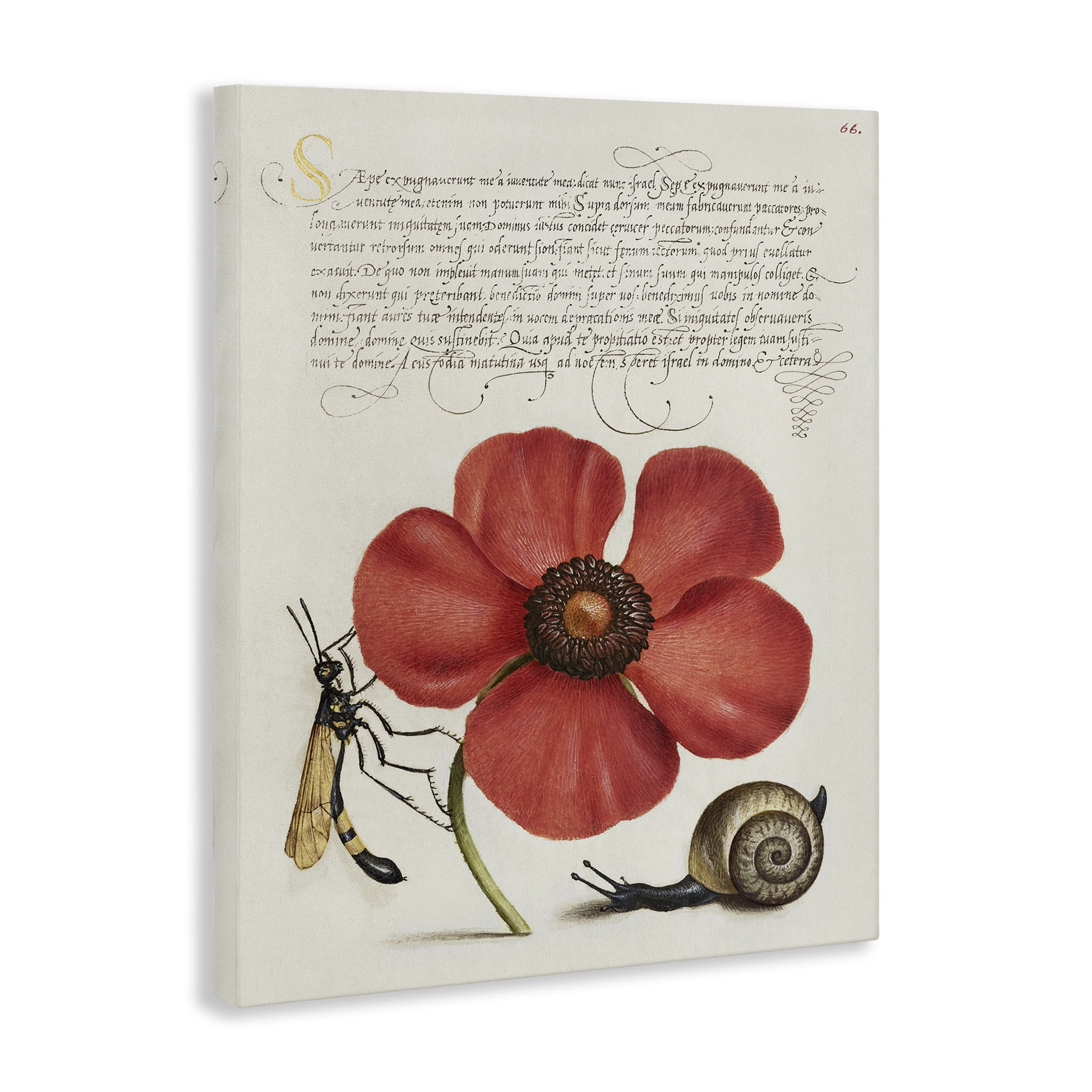 Stupell Industries Vintage Insects on Flower Text & Numbers Painting Wrapped Canvas Art Print Wall Art, 16 x 20