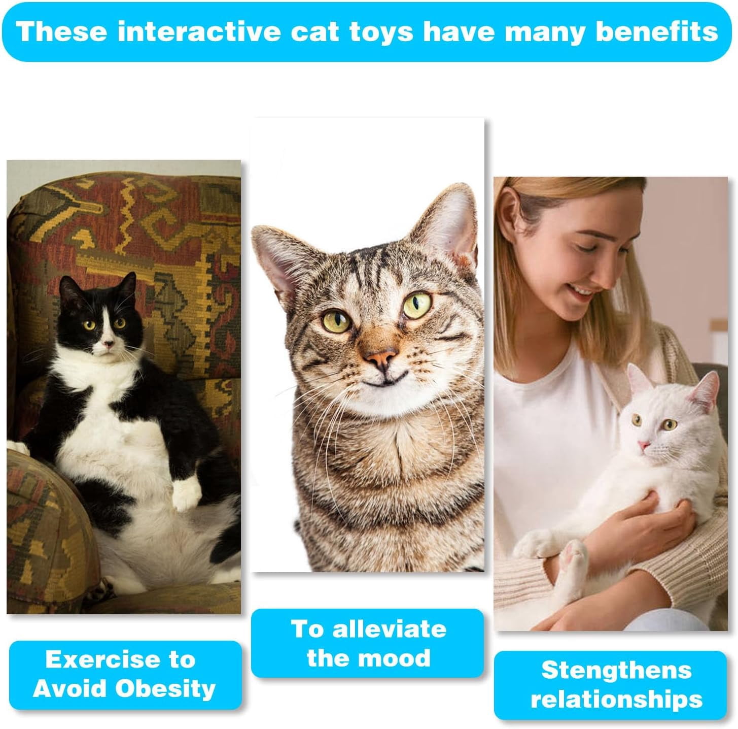 Cat Wand Toys Interactive Kitten Toys for Indoor Cats Colorful Teaser Wand String for Exercise Kitten Stick Kitty Rope Toy Rainbow Ribbon Cat Charmer -2Pcs