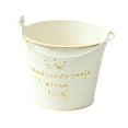 thumbnail image 2 of koolsoo Metal Hanging Flower Pot Multipurpose Rustic Plant Pot for Table Centerpiece Crown Pattern, 2 of 9
