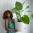 thumbnail image 3 of Bloem Mathers 12" White Round Modern Resin Garden Planter Pot with Drainage Holes and Removable Saucer Tray Included, 3 of 5
