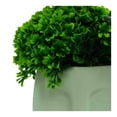 thumbnail image 4 of Planta Artificial con Maceta Mainstays 18 cm Maceta con Diseño de Cara, 4 of 4