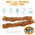 Pack Approved 6" Braided MMF7 Camel Sticks Long Lasting Dog Chews for
