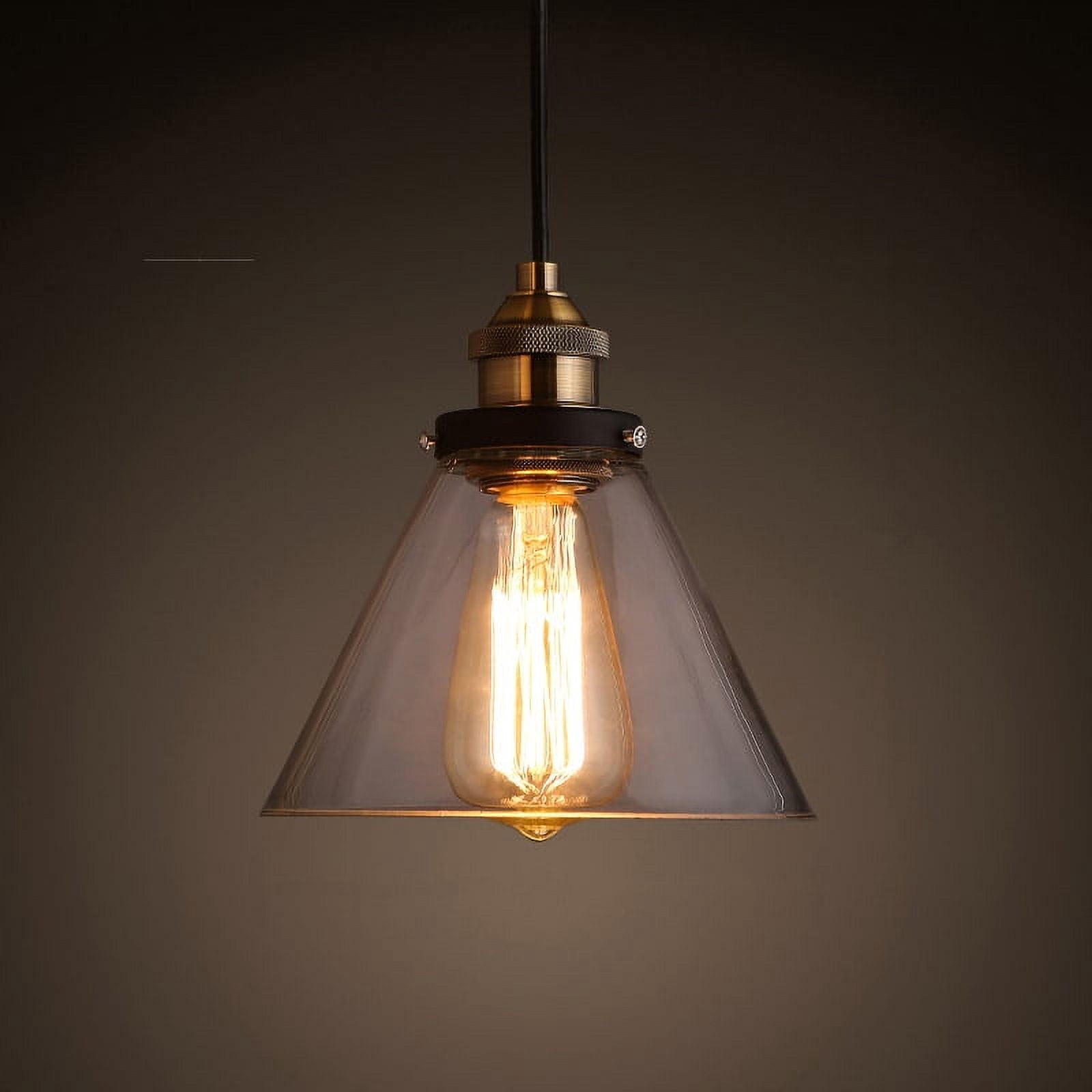 Leona 8-inch Adjustable Cord Glass Edison Lamp