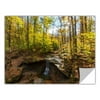 ArtApeelz 'Blue Hen Falls' by Cody York Photographic Print on Wrapped Canvas, 12" H x 18" W x 0.1" D