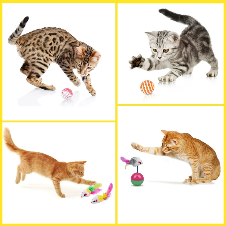 The 21 Best Cat Toys for All Kinds of Cats and All Kinds of Play