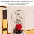 thumbnail image 4 of Eternal Rose Flower Aromaterapia Colorido Led Usb Recargable Rose Plastic Dome Decoración Cateissary HA025183-01, 4 of 5