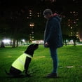 thumbnail image 5 of TIELUTT Gilet pour Chien, Pyjama Réfléchissant pour Chien, Col Roulé, Chandails d'Hiver pour Grands Chiens, Vêtements pour Chien, Vêtements Mignons pour Chiots, Vêtements d'Hiver pour Grands Chiens, 5 of 5